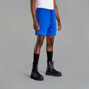 adidas Blue Version Essentials Shorts Royal Blue