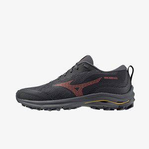 Tenisky Mizuno Wave Rider Gtx Ebony/ Dubarry/ Citrus EUR 42