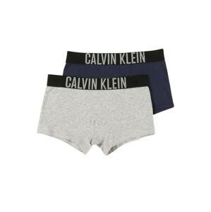 Calvin Klein Underwear Spodní prádlo  modrá / šedá