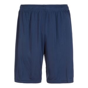 PUMA Sportovní kalhoty 'Liga'  tmavě modrá
