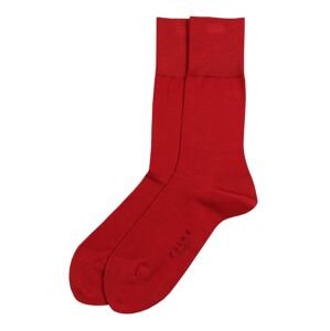 FALKE Ponožky 'Tiago'  červená
