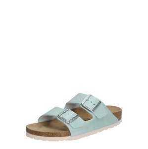 BIRKENSTOCK Pantofle 'Arizona Washed Metallic'  zlatá / stříbrná