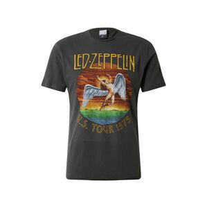 AMPLIFIED Tričko 'LED ZEPPELIN TOUR 75'  tmavě šedá