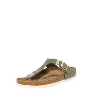 BIRKENSTOCK Žabky 'Gizeh'  khaki