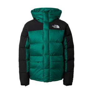 THE NORTH FACE Outdoorová bunda 'M HMLYN DOWN PARKA'  černá / zelená