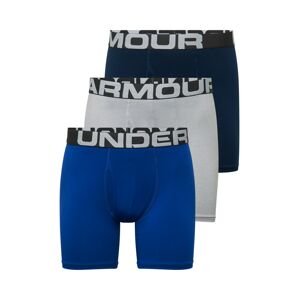UNDER ARMOUR Sportovní spodní prádlo  modrá / noční modrá / šedá