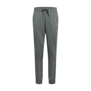 ADIDAS PERFORMANCE Sportovní kalhoty 'Essentials'  mix barev / šedý melír