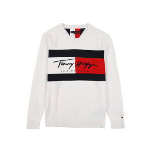 TOMMY HILFIGER Svetr  bílá / noční modrá / červená