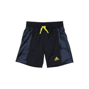 ADIDAS PERFORMANCE Sportovní kalhoty  noční modrá / chladná modrá / žlutá