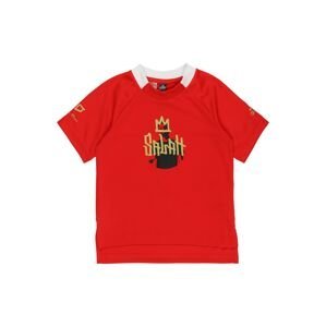 ADIDAS PERFORMANCE Funkční tričko  zlatá / červená / černá