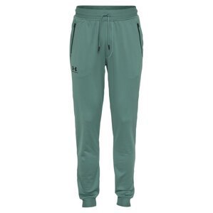 UNDER ARMOUR Sportovní kalhoty  smaragdová / černá
