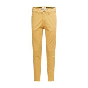 SELECTED HOMME Chino kalhoty 'SLHSLIM'  kari