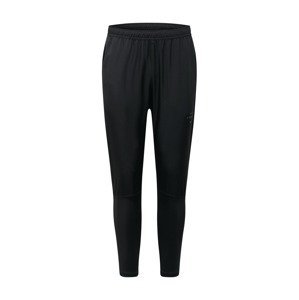 NIKE Sportovní kalhoty 'Essential Run Division'  černá / fialová