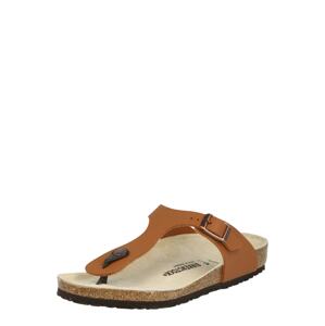 BIRKENSTOCK Zehentrenner 'Gizeh'  koňaková