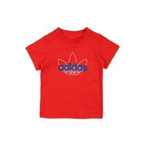 ADIDAS ORIGINALS T-Shirt  červená / bílá / modrá