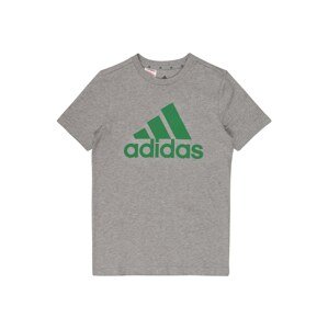 ADIDAS PERFORMANCE Funkční tričko  šedá / zelená