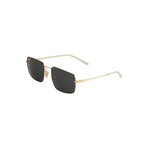 Ray-Ban Sluneční brýle '0RB3669'  zlatá / černá