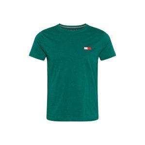 TOMMY HILFIGER Tričko  zelená / bílá / námořnická modř / červená