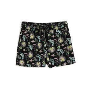 VANS Shorts  mix barev