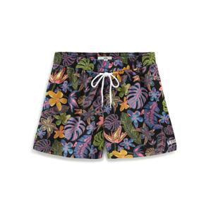 VANS Shorts  mix barev