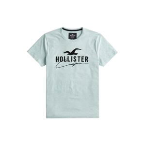 HOLLISTER Tričko  mátová / černá