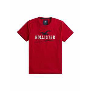 HOLLISTER Tričko  červená / bílá / námořnická modř