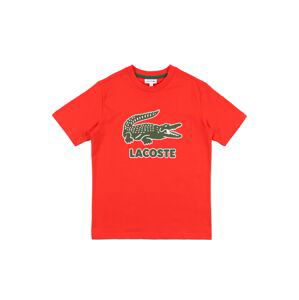 LACOSTE Tričko  červená / khaki / bílá