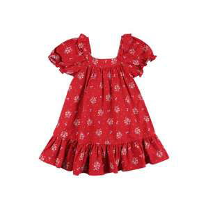Cotton On Šaty 'AIMEE'  mix barev / červená