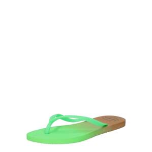 HAVAIANAS Žabky  světle zelená / hnědá