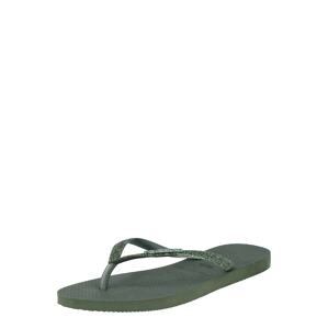 HAVAIANAS Žabky  olivová