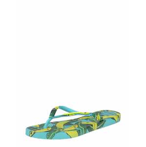 HAVAIANAS Žabky 'SUMMER'  aqua modrá / žlutá / zelená