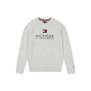 TOMMY HILFIGER Svetr  šedá / námořnická modř / bílá / červená