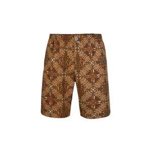 O'NEILL Shorts 'Lombok'  hnědá / černá / bílá / hořčicová