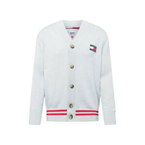 Tommy Jeans Kardigan  světle šedá / marine modrá / bílá / červená