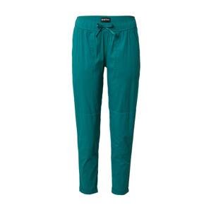 BURTON Sportovní kalhoty  smaragdová