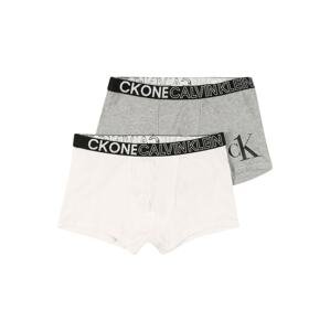 Calvin Klein Underwear Spodní prádlo  šedá / bílá