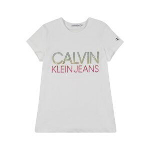 Calvin Klein Jeans Tričko  hnědá / pink / černá / stříbrná / bílá