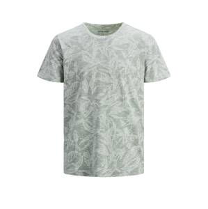 JACK & JONES Tričko  pastelově zelená / bílý melír