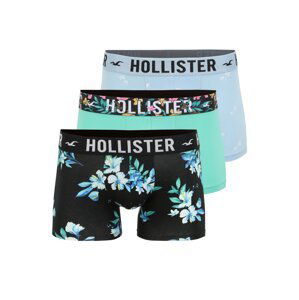 HOLLISTER Boxerky  světlemodrá / světle zelená / černá / bílá