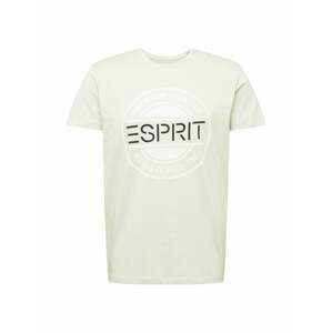 ESPRIT Tričko  pastelově zelená / černá / bílá