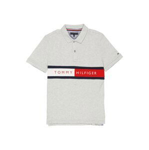 TOMMY HILFIGER Tričko  světle šedá / noční modrá / světle červená / bílá