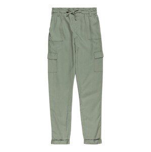 LEVI'S Kalhoty  khaki