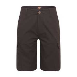 DICKIES Kapsáče  černá