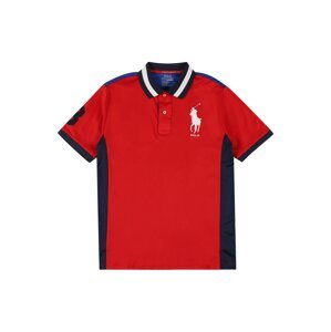 Polo Ralph Lauren Tričko  červená / modrá / tmavě modrá