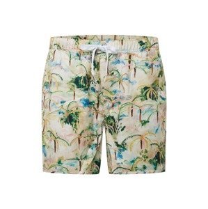 DEDICATED. Plavecké šortky 'Sandhamn Tropics'  béžová / zelená / růžová / světlemodrá