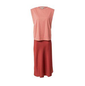 AllSaints Kleid 'Tierny'  pink / červená