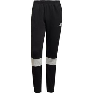 ADIDAS PERFORMANCE Sportovní kalhoty  černá / bílá / světle šedá