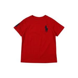 Polo Ralph Lauren Tričko  červená / námořnická modř