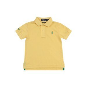 Polo Ralph Lauren Tričko  žlutá / zelená