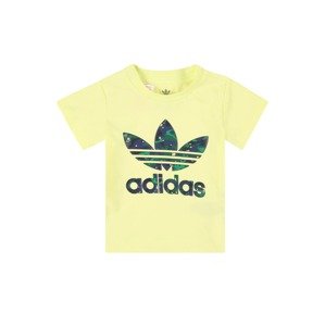 ADIDAS ORIGINALS Tričko  tmavě modrá / citronově žlutá / zelená